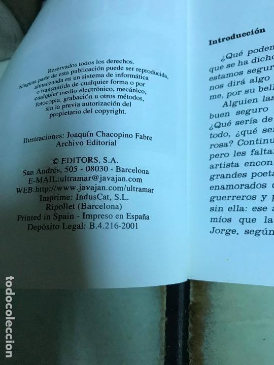 Libros de segunda mano: Rosas. Victoria Bowan - Foto 3