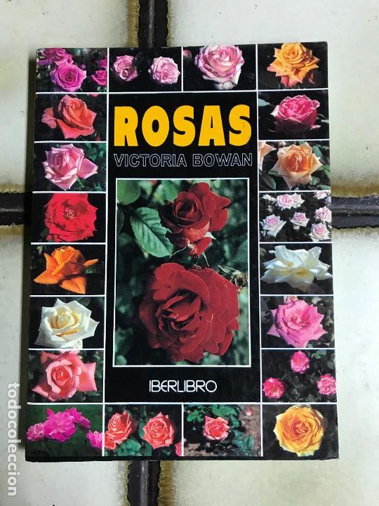 Libros de segunda mano: Rosas. Victoria Bowan - Foto 1