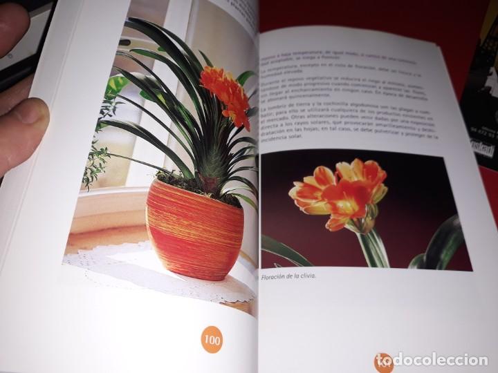 Libros de segunda mano: Plantas de Interior . Ediciones Nobel 2003 - Foto 2