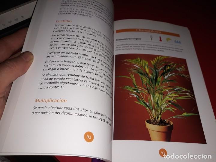 Libros de segunda mano: Plantas de Interior . Ediciones Nobel 2003 - Foto 3