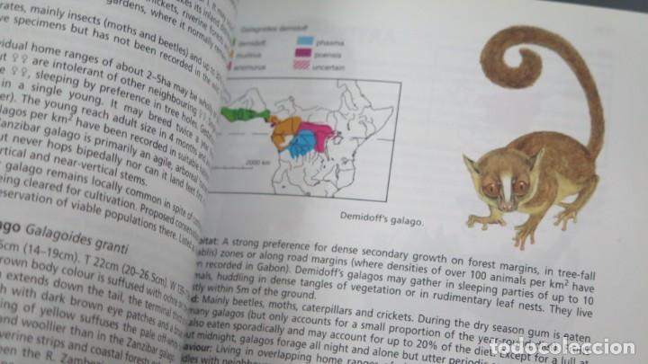 Libros de segunda mano: THE KINGDON FIELD GUIDE TO AFRICAN ANIMALS. JONATHAN KINGDON - Foto 2
