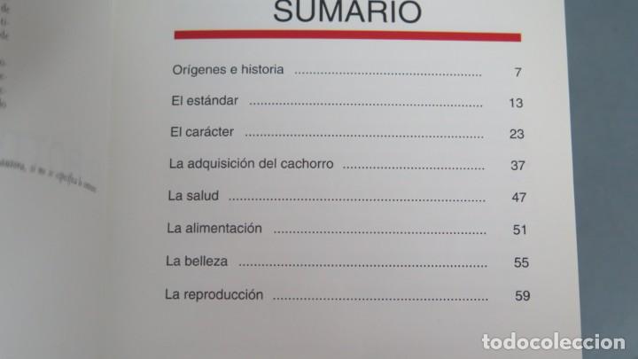 Libros de segunda mano: EL ROTTWEILER. VALERIA ROSSI - Foto 2