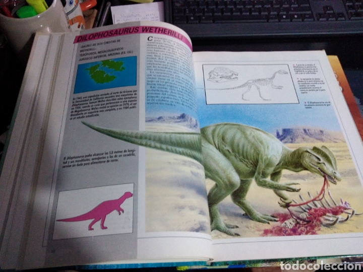 Libros de segunda mano: Enciclopedia ilustrada de los dinosaurios Dougal Dixon - Foto 2