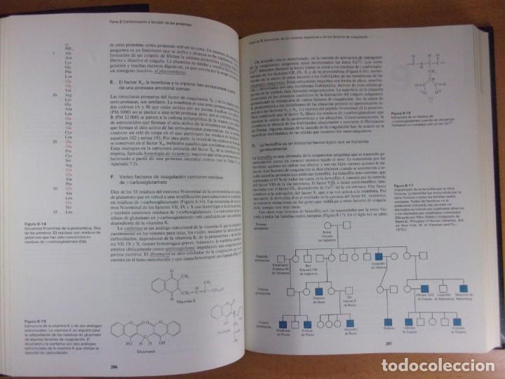 Libros de segunda mano de ciencias: BIOQU&Iacute;MICA / DAVID RAWN / 1989. INTERAMERICANA / 2 TOMOS - Foto 6