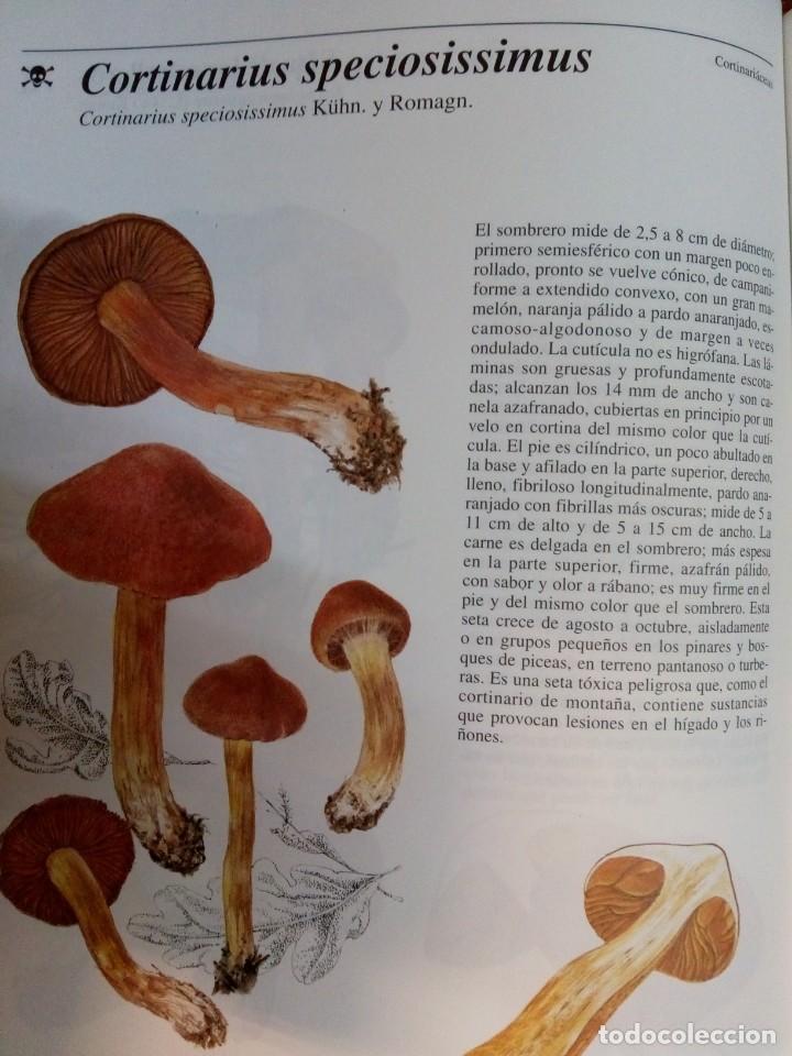 Libros de segunda mano: JIR&Iacute; BAIER. Setas T&oacute;xicas. RM69786. - Foto 2