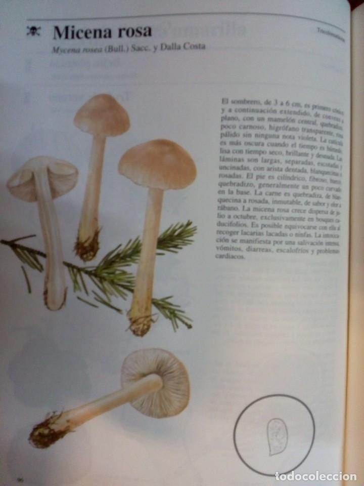 Libros de segunda mano: JIR&Iacute; BAIER. Setas T&oacute;xicas. RM69786. - Foto 3