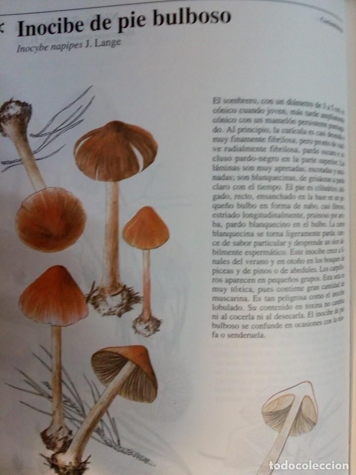 Libros de segunda mano: JIR&Iacute; BAIER. Setas T&oacute;xicas. RM69786. - Foto 4