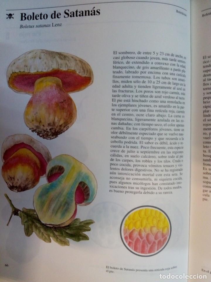 Libros de segunda mano: JIR&Iacute; BAIER. Setas T&oacute;xicas. RM69786. - Foto 5