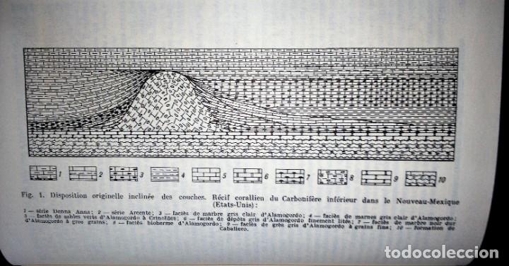 Libros de segunda mano: G&eacute;ologie Structurale de V. B&eacute;loussov - Foto 10