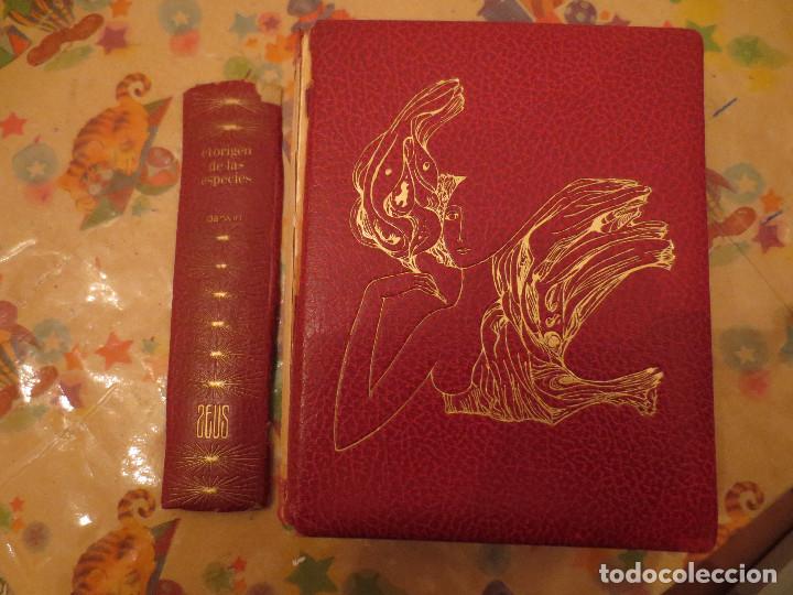 Libros de segunda mano: el origen de las especies. darwin. zeus - Foto 1