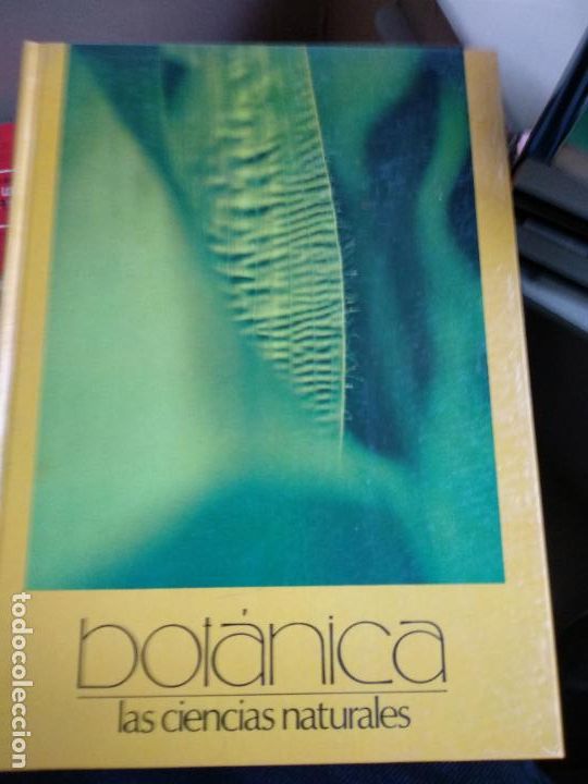 Libros de segunda mano: LAS CIENCIAS NATURALES - Botanica - Foto 1