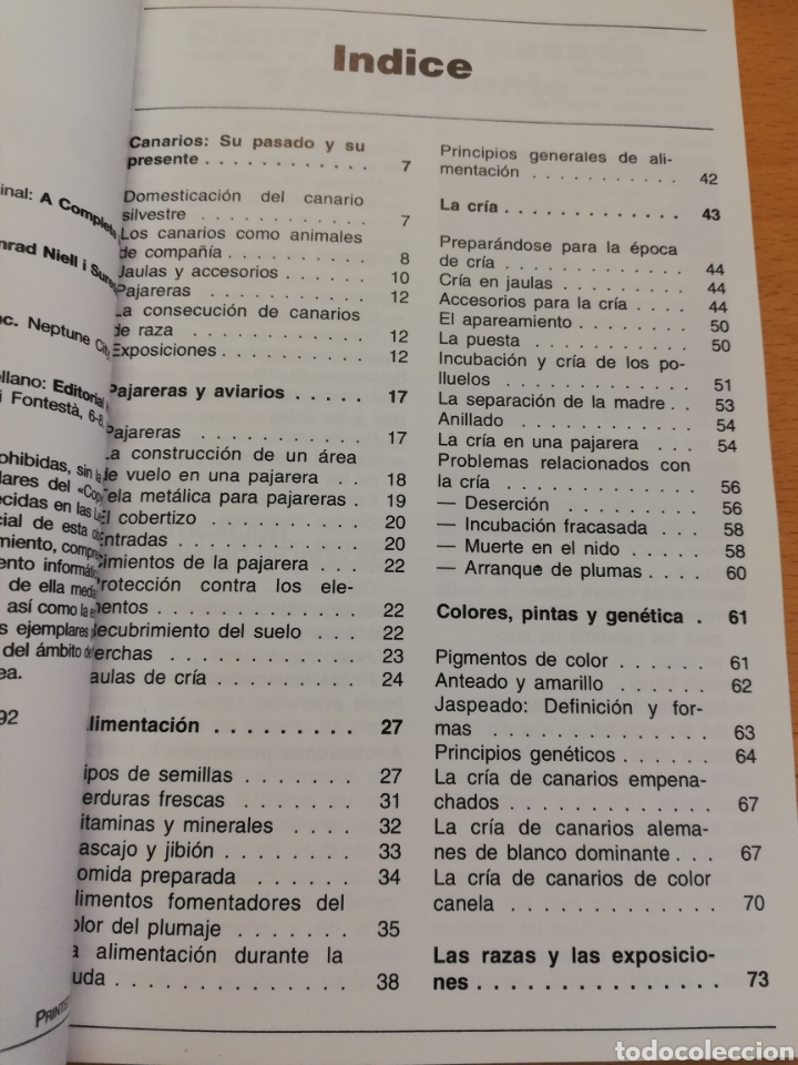 Libros de segunda mano: LOS CANARIOS (AL DAVID) - Foto 3