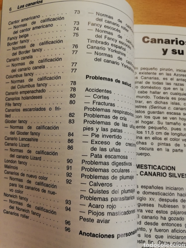 Libros de segunda mano: LOS CANARIOS (AL DAVID) - Foto 4