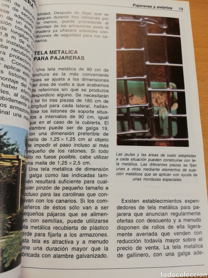 Libros de segunda mano: LOS CANARIOS (AL DAVID) - Foto 6