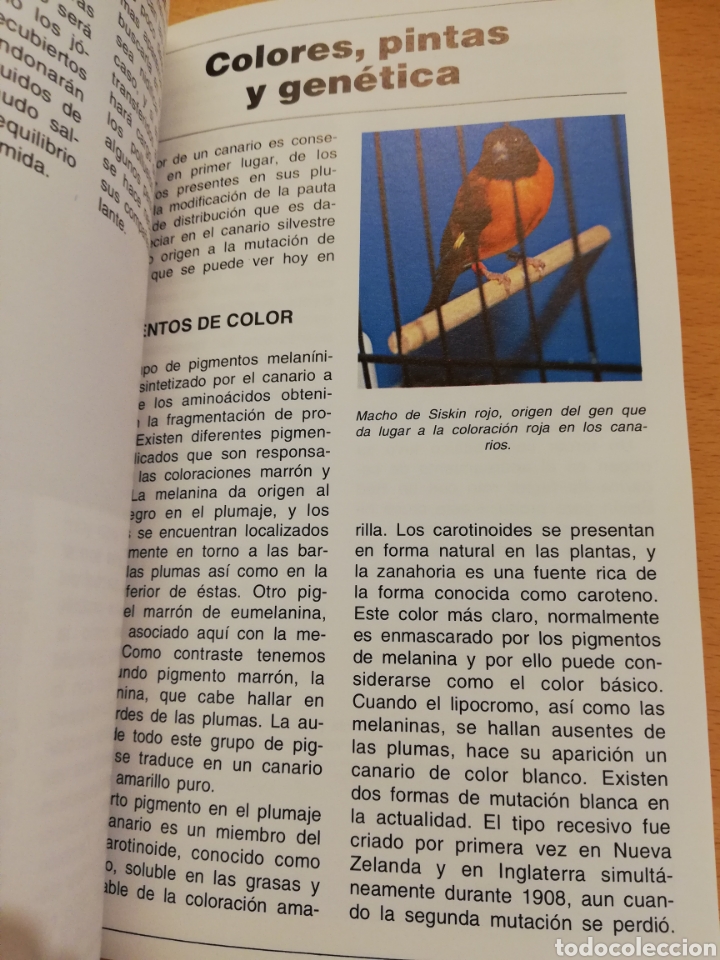 Libros de segunda mano: LOS CANARIOS (AL DAVID) - Foto 9