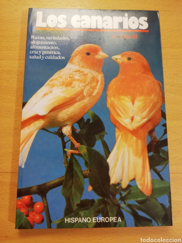 Libri di seconda mano: LOS CANARIOS (AL DAVID)