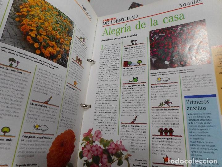 Libros de segunda mano: Jardineria pr&aacute;ctica    Y98723T - Foto 3