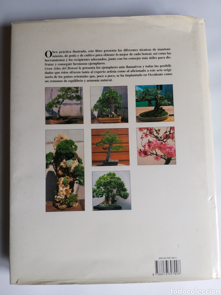 Libros de segunda mano: Gran Atlas del bons&aacute;i .... ENV&Iacute;O GRATIS CERT ESPA&Ntilde;A PEN&Iacute;NSULA - Foto 3