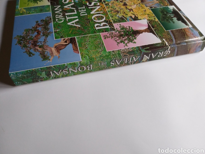 Libros de segunda mano: Gran Atlas del bons&aacute;i .... ENV&Iacute;O GRATIS CERT ESPA&Ntilde;A PEN&Iacute;NSULA - Foto 5