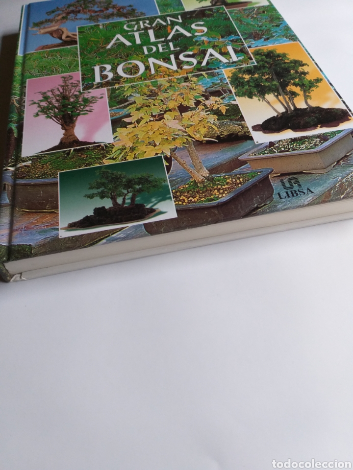 Libros de segunda mano: Gran Atlas del bons&aacute;i .... ENV&Iacute;O GRATIS CERT ESPA&Ntilde;A PEN&Iacute;NSULA - Foto 6