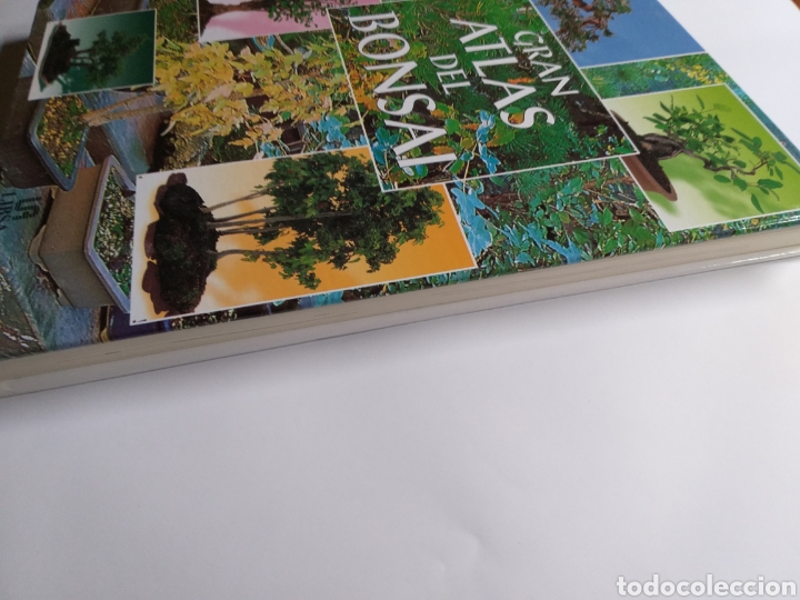 Libros de segunda mano: Gran Atlas del bons&aacute;i .... ENV&Iacute;O GRATIS CERT ESPA&Ntilde;A PEN&Iacute;NSULA - Foto 7