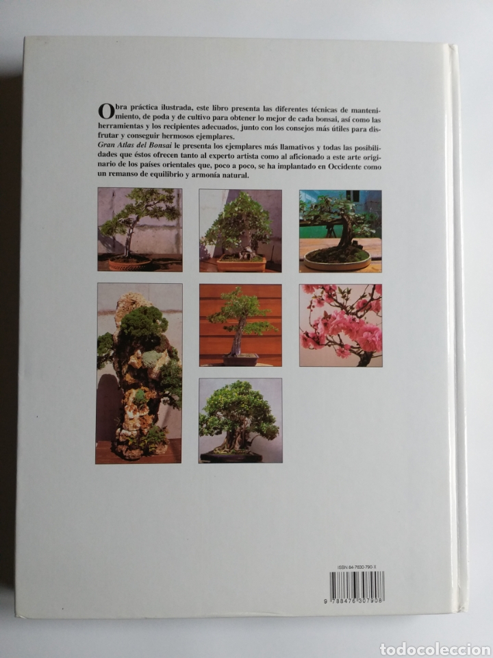 Libros de segunda mano: Gran Atlas del bons&aacute;i .... ENV&Iacute;O GRATIS CERT ESPA&Ntilde;A PEN&Iacute;NSULA - Foto 8