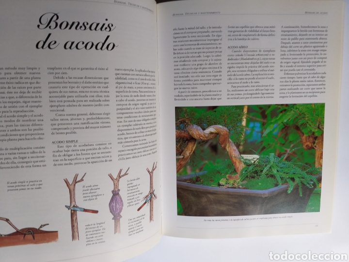 Libros de segunda mano: Gran Atlas del bons&aacute;i .... ENV&Iacute;O GRATIS CERT ESPA&Ntilde;A PEN&Iacute;NSULA - Foto 12