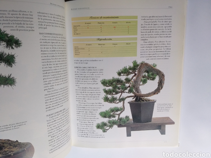 Libros de segunda mano: Gran Atlas del bons&aacute;i .... ENV&Iacute;O GRATIS CERT ESPA&Ntilde;A PEN&Iacute;NSULA - Foto 13