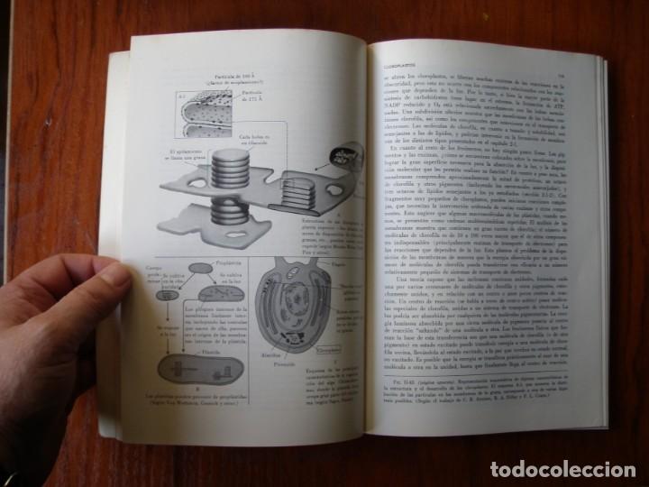 Libros de segunda mano: LIBRO ESTRUCTURA DIN&Aacute;MICA Y CELULAR - Foto 2