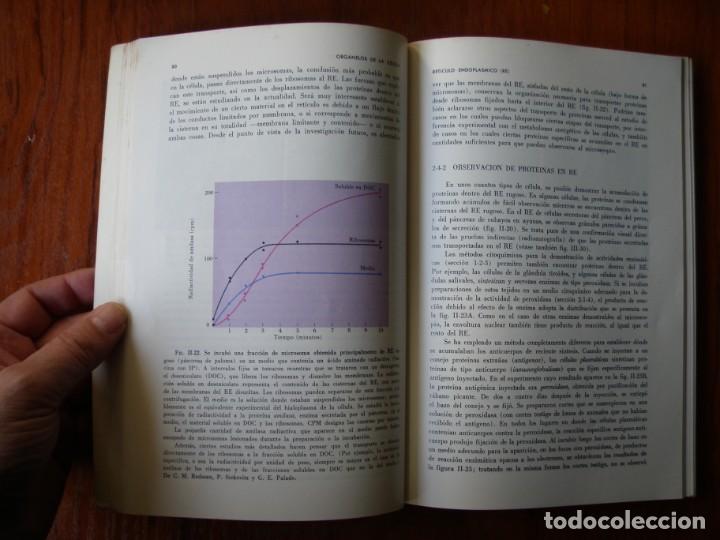Libros de segunda mano: LIBRO ESTRUCTURA DIN&Aacute;MICA Y CELULAR - Foto 3