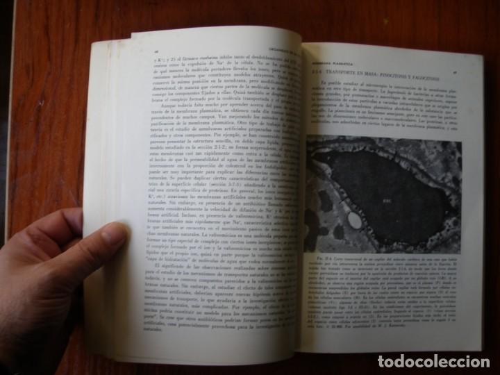 Libros de segunda mano: LIBRO ESTRUCTURA DIN&Aacute;MICA Y CELULAR - Foto 4