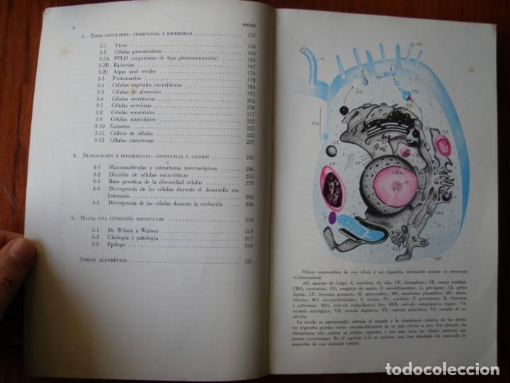 Libros de segunda mano: LIBRO ESTRUCTURA DIN&Aacute;MICA Y CELULAR - Foto 7