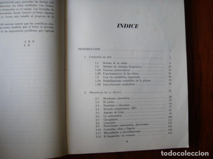 Libros de segunda mano: LIBRO ESTRUCTURA DIN&Aacute;MICA Y CELULAR - Foto 8