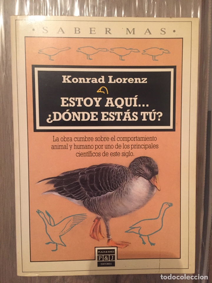 Il Libro Più Noto Di Konrad Lorenz