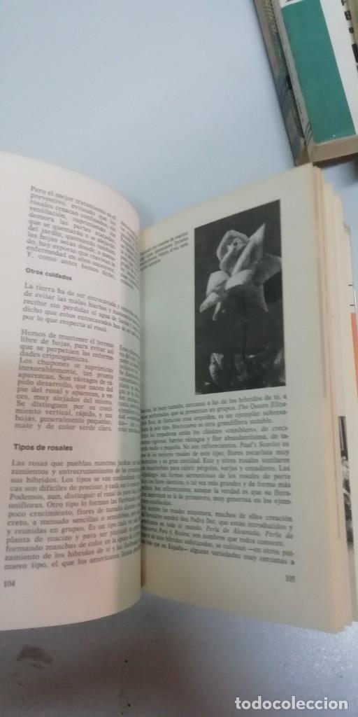 Libros de segunda mano: ABC de las plantas de Jardin y Terraza - Magda R&oacute;denas - Foto 3