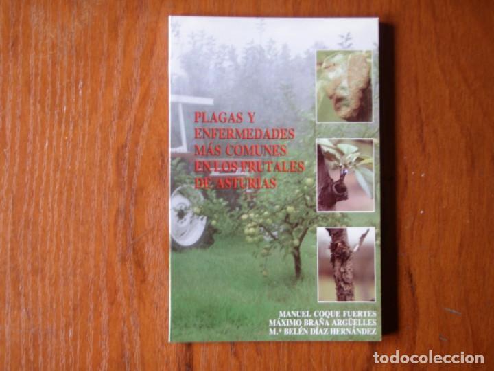 libro plagas y enfermedades en los arboles frut - Buy Used books about  biology and botany on todocoleccion