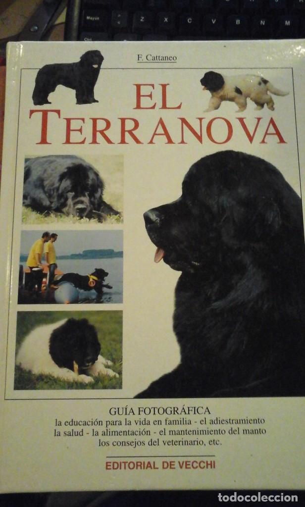 Libros de segunda mano: EL TERRANOVA (Barcelona, 2000) - Foto 1