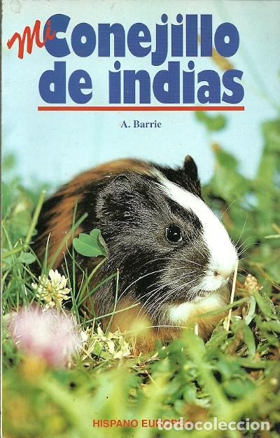 Libros de segunda mano: MI CONEJILLO DE INDIAS A BARRIE HISPANO EUROPEA - Foto 1