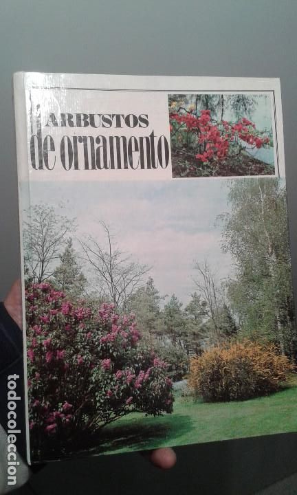 Libros de segunda mano: Los arbustos de ornamento - Foto 1