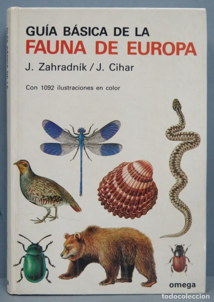 Libri di seconda mano: .GUIA BASICA DE LA FAUNA DE EUROPA. ZAHRADNIK. CIHAR