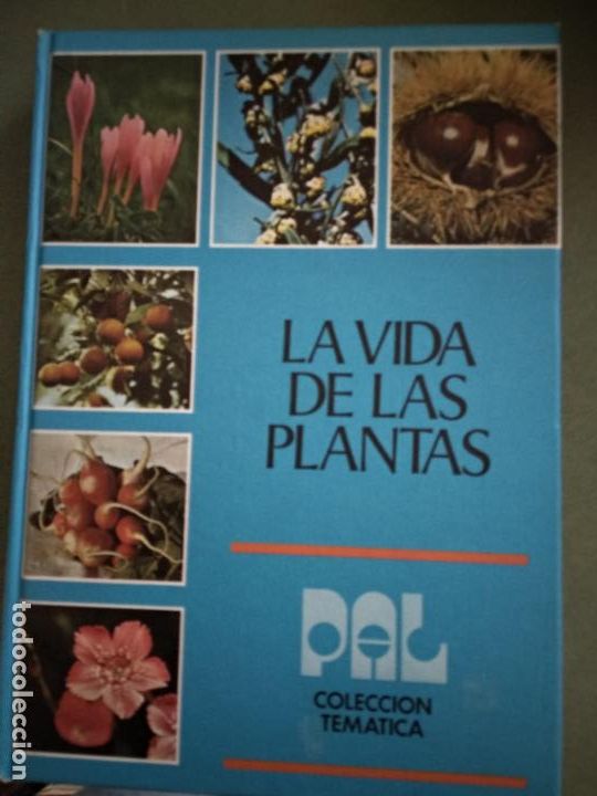 Libros de segunda mano: La vida de las plantas - Aa. Vv. - Foto 1