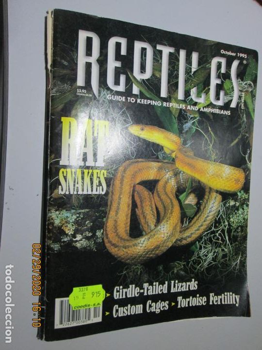 Second hand books: REPTILES , GUIDE TO KEEPING AND AMPHIBIANS , RAT SNAKES - GIRDLE , TAILED - OCTOBER 1995 - 6