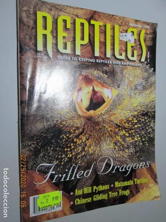 Second hand books: REPTILES , GUIDE TO KEEPING AND AMPHIBIANS  - TRILLED DRAGONS , SEPTEMBER 1995