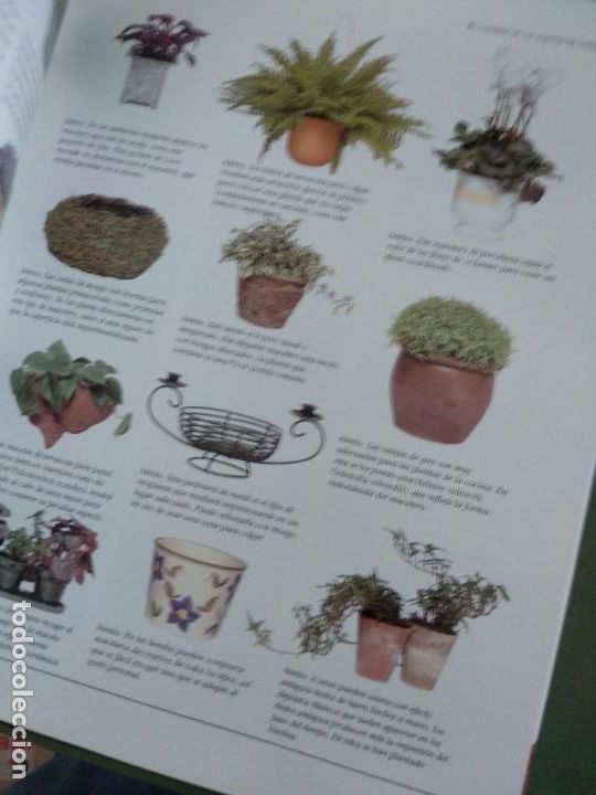 Libros de segunda mano: Plantas de interior - Mc Hoy, Peter - Foto 2