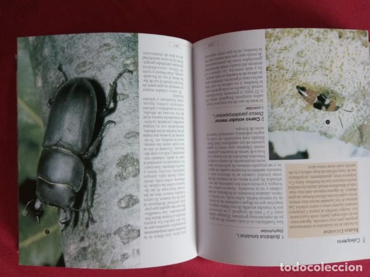 Libros de segunda mano: Insectos (Enciclopedia De La Ciencia).TIKAL. - Foto 3