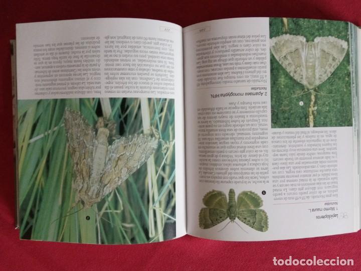 Libros de segunda mano: Insectos (Enciclopedia De La Ciencia).TIKAL. - Foto 4