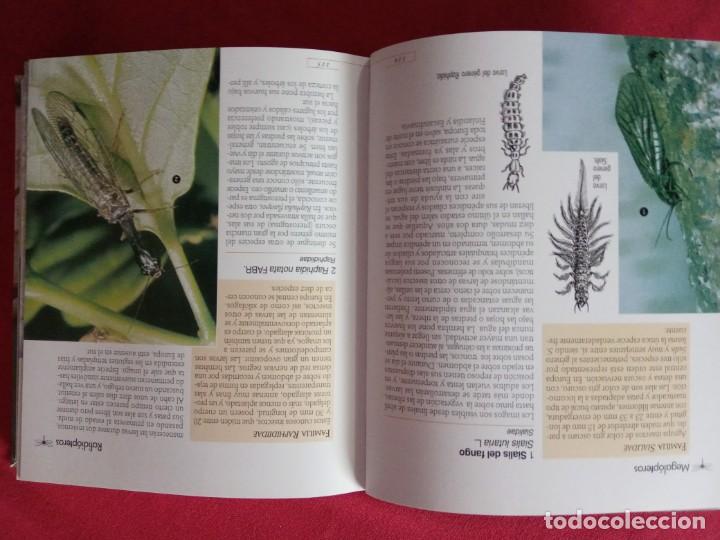 Libros de segunda mano: Insectos (Enciclopedia De La Ciencia).TIKAL. - Foto 5