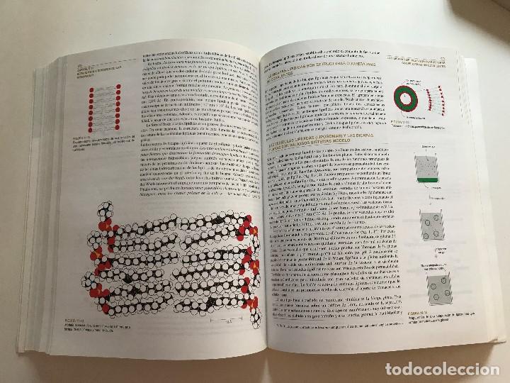 Libros de segunda mano: Bioqu&iacute;mica - Foto 3