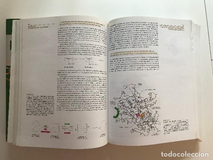Libros de segunda mano: Bioqu&iacute;mica - Foto 4