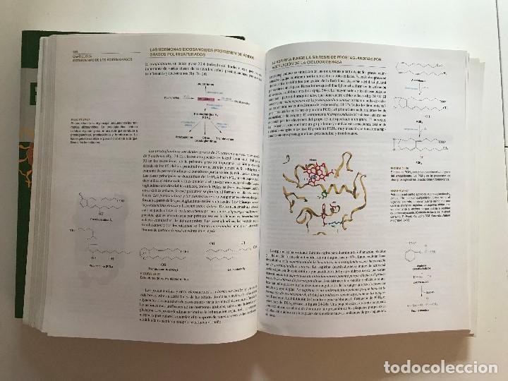 Libros de segunda mano: Bioqu&iacute;mica - Foto 5
